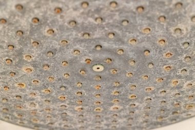 Yağmur ormanları duş başlığı son derece kireç