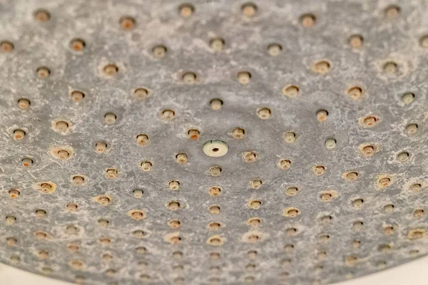 Cabeza de ducha de selva extremadamente lima — Foto de Stock