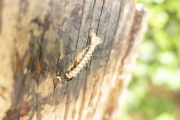 Tornillo en madera oscura, inclinado — Foto de Stock