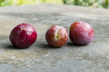 bahçe manzaralı beton üzerinde üç taze erik