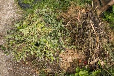 çitler ve dallardan yeşil atık ile kompost yığını