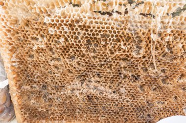 Bal kalıntıları ile boş bir petek yakın çekim