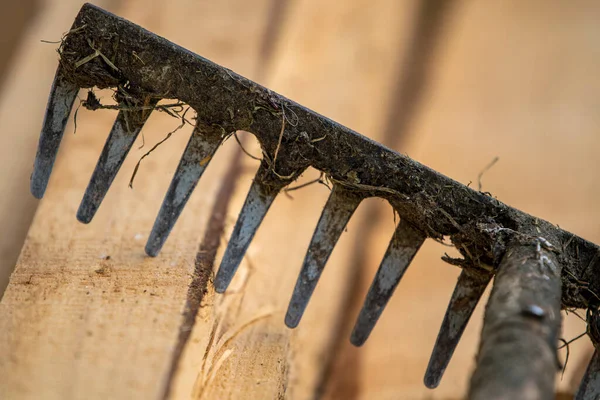 Harke Für Die Gartenarbeit Aus Nächster Nähe — Stockfoto