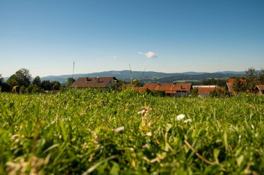 Çimlerin üzerinden uzaklığa doğru zemin kat görüntüsü