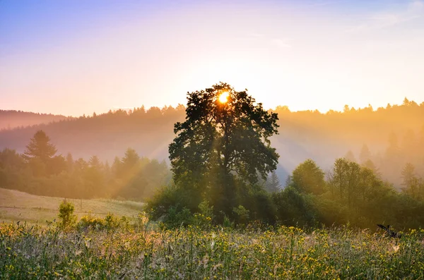 Dağlarda harika şafak!