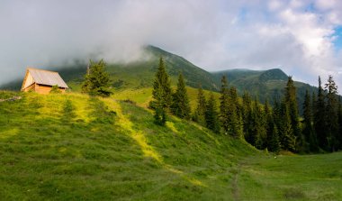 Doğada harika bir tatil!