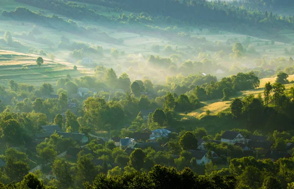 Doğada harika bir tatil!
