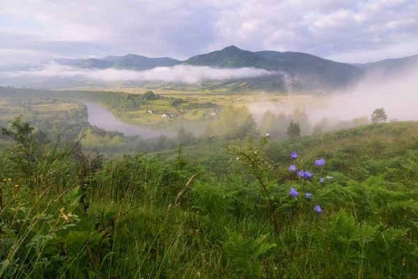 Unas Maravillosas Vacaciones Naturaleza — Foto de Stock