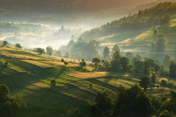 Doğada harika bir tatil!