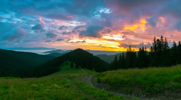 Doğada harika bir tatil!