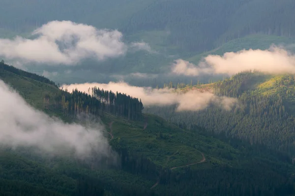 Doğada harika bir tatil!