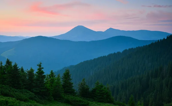 Doğada harika bir tatil!