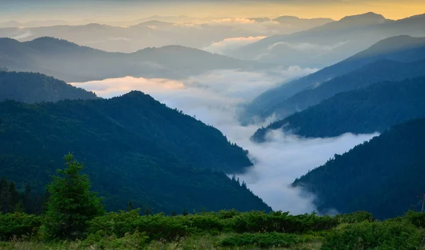 Doğada harika bir tatil!