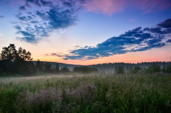 Doğada harika bir tatil!