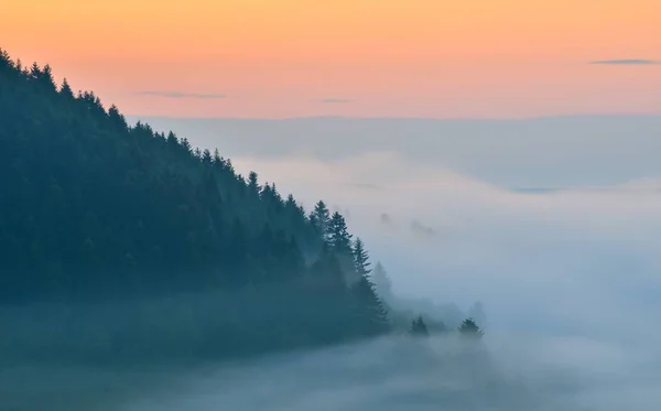 Nádherné Prázdniny Přírodě — Stock fotografie