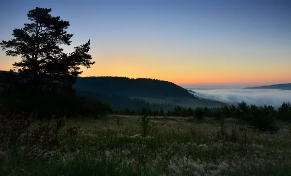 Doğada harika bir tatil!