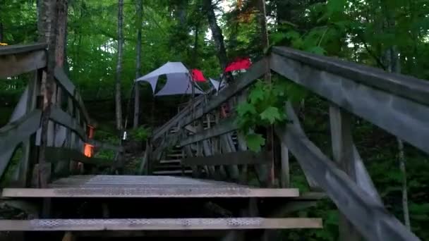 Reizen Naar Voren Een Boreal Forest Promenade Met Zelfgemaakte Linten — Stockvideo