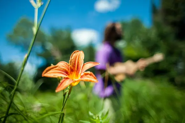 Primo Piano Bellissimo Fiore Arancio Campo Verde Una Giornata Sole — Foto Stock