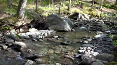 Rocky creek veya güneşli bir günde (sol ve sağ kaydırma paket 3 sahnelerin bir ormanda akan küçük nehir)