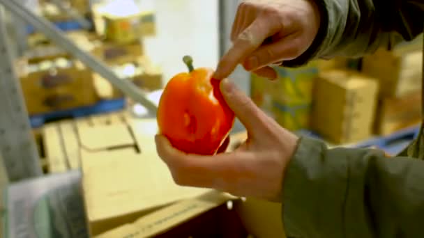 手显示蔬菜和水果 并解释食物废物 包装2个场景 拿着橘子胡椒 拿着一个西红柿 — 图库视频影像