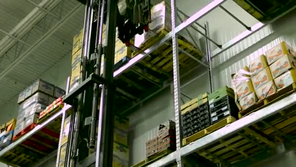 Lift Bringing Pallet Fruit Very High Shelf Warehouse Package Scenes — Stock Video