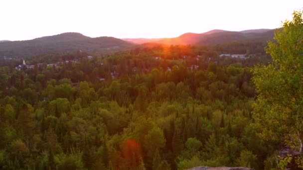 Ufuk Olarak Görüntülenen Bir Boreal Orman Quebec Kanada Kadar Seyahat — Stok video