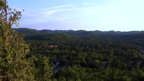 Ufuk Dağ Üstten Görünüm Bir Boreal Orman Quebec Kanada Mükemmel — Stok video