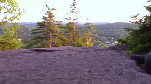 アラスカン ハスキー犬立ち上がって 歩く距離水平線と夕日を背景に 山の上にパンで右 — ストック動画