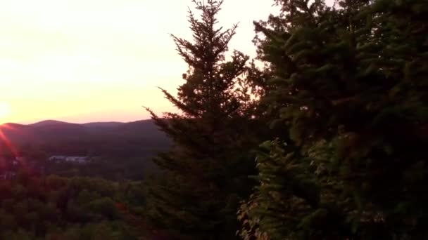 Horizonte Atardecer Visto Desde Alrededor Los Abetos Cima Montaña Bosque — Vídeo de stock