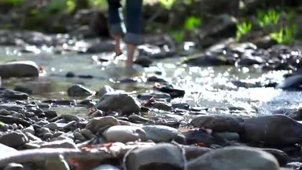 Close Man Feet Walking Creek Small River Sunny Day Package — Stock Video