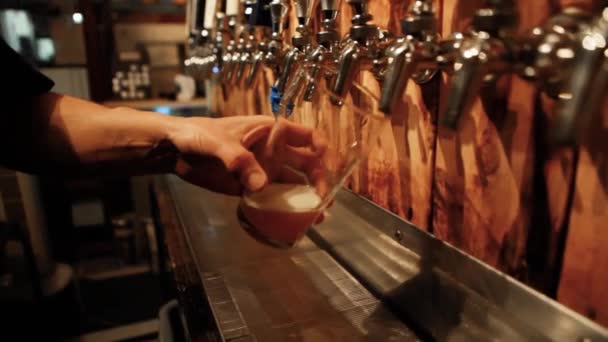 Handen van een bar werknemer trekken pint. — Stockvideo