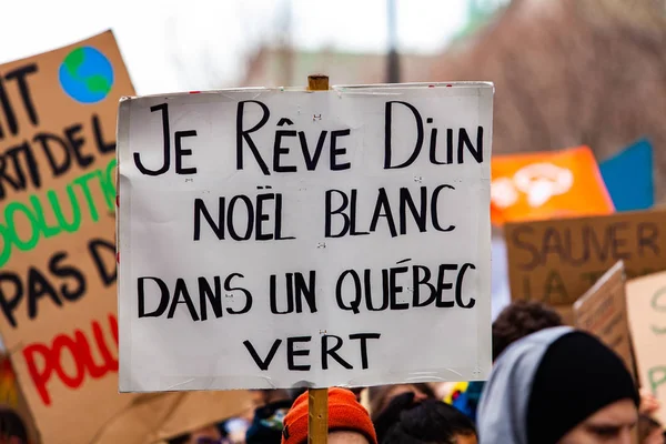 Francouzští demonstranti pochodují do životního prostředí — Stock fotografie