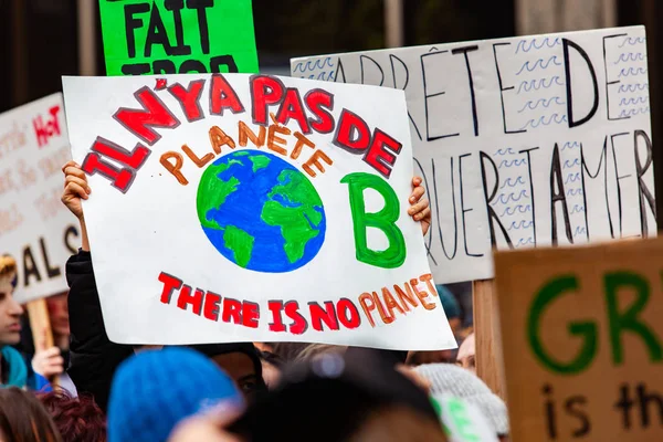 Ekologickým demonstranty pochodují na změnu — Stock fotografie