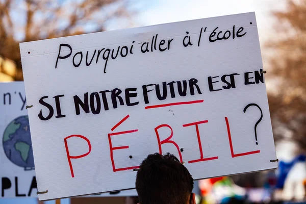 Bannière française au rassemblement environnemental — Photo