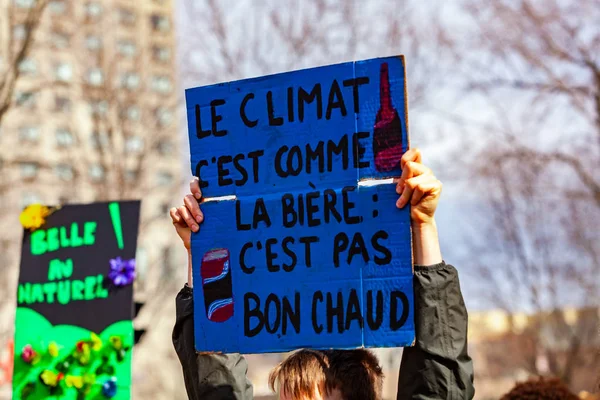 Francouzská vlajka na ekologickém protestu — Stock fotografie