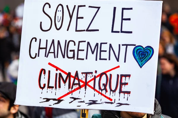 Bandiera francese alla marcia dell'attivismo eco — Foto Stock