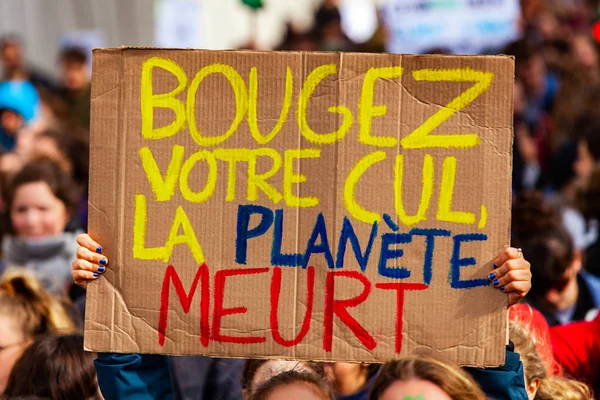 Francuski plakat w protestu ekologicznym — Zdjęcie stockowe