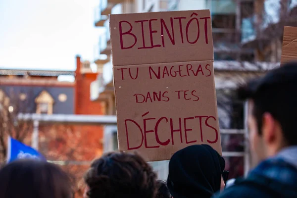 Plaque française lors d'une manifestation écologique — Photo