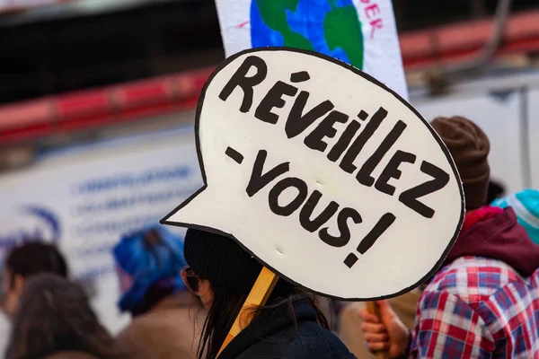 Plaque française lors d'une manifestation environnementale — Photo