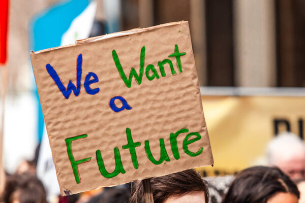 Домашний знак на экологическом митинге
