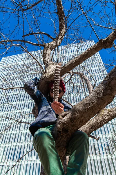 Şaman ağaçta, gökdelende oturuyor.