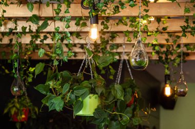 Çevre dostu bistro modern ampul