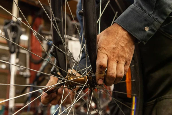 Man repairs bicycle in workshop