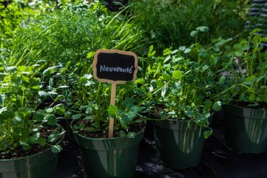 Çiftçi pazarında satılan organik ürünler