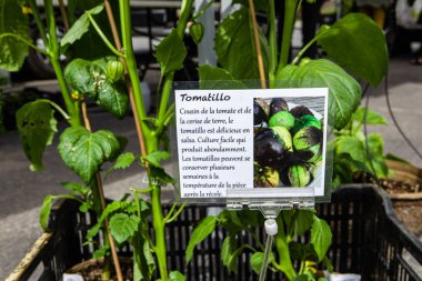 Çiftçi pazarında satılan organik ürünler