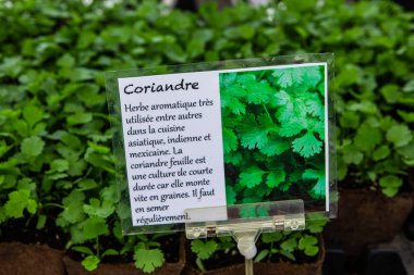 Çiftçi pazarında satılan organik ürünler