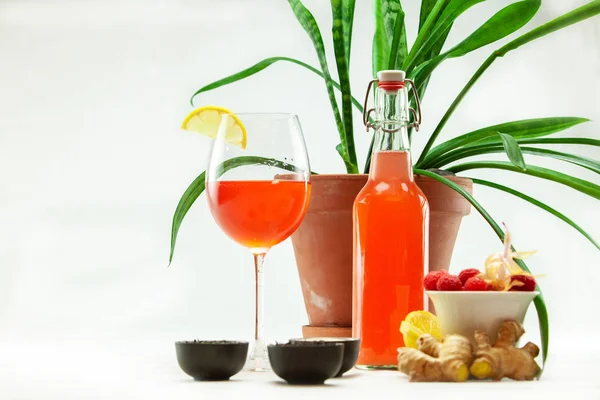 Organic & healthy homebrew mushroom tea. — Stock Photo, Image