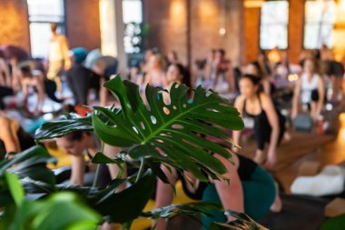 Yoga sınıfında farklı insan grubu.