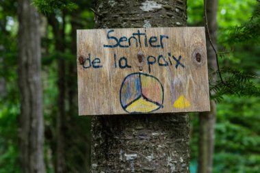 Çeşitli insanlar ruhani toplantılardan hoşlanırlar.