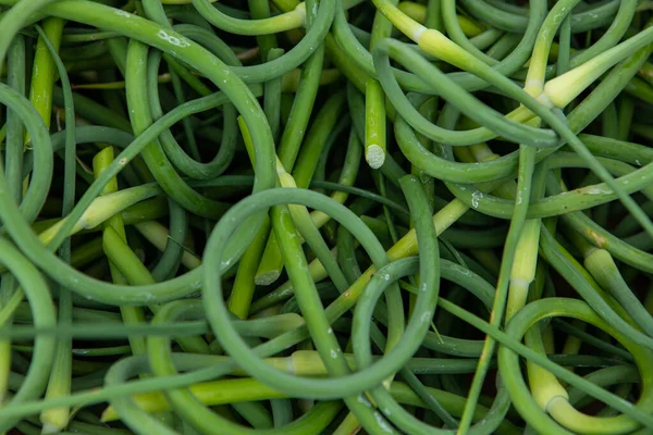 Prodotti biologici al mercato degli agricoltori . — Foto Stock